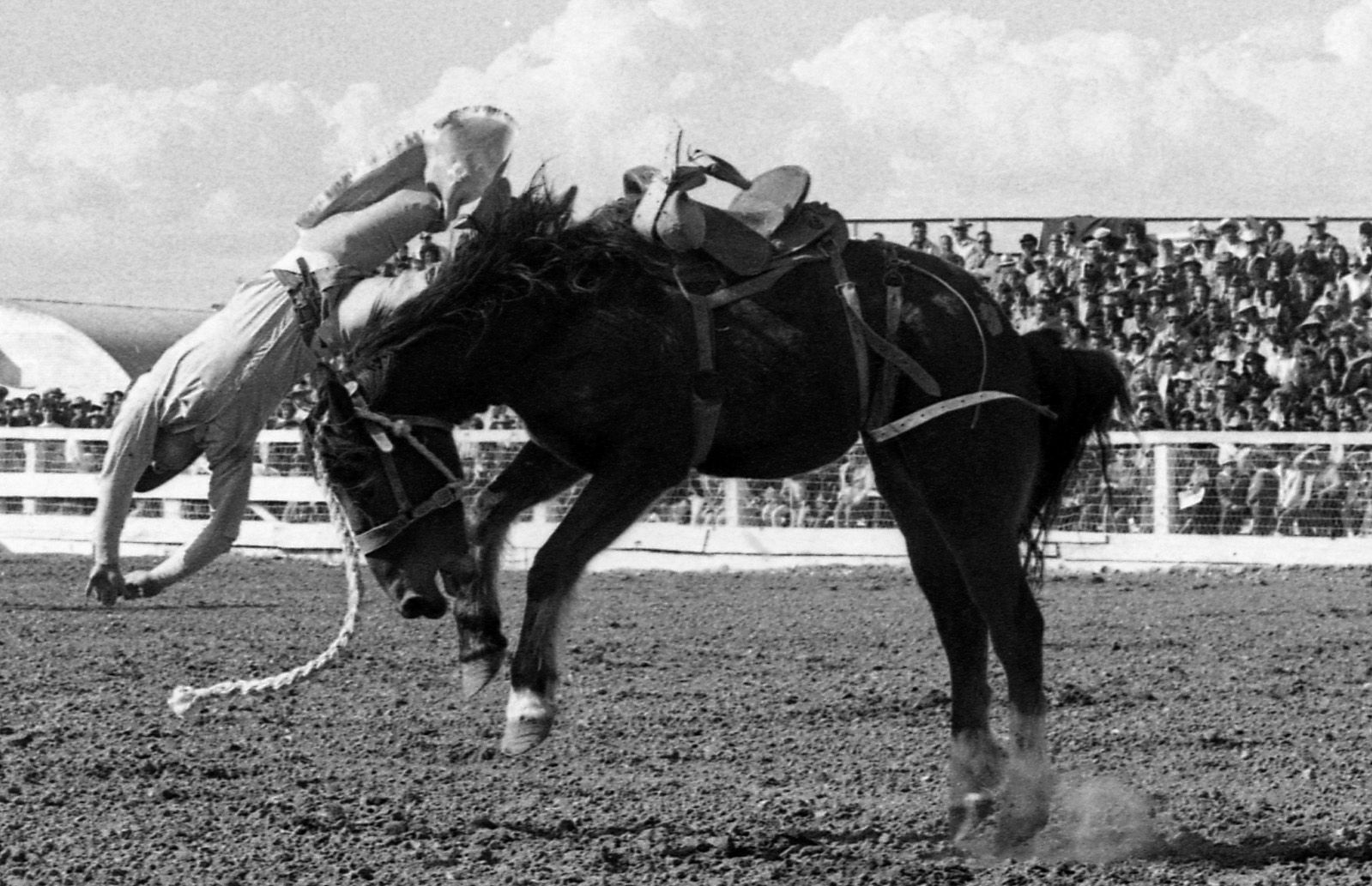 Tucson Rodeo 1961-1986